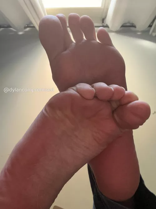 Why are you laying on the floor? Need some help up?