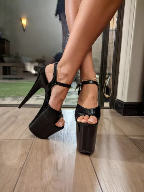 Would you like to be at my feet? (f)