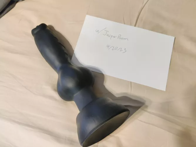 WTS L/M Rex w/ suction cup