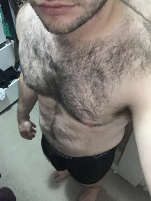 [28] Am i bear-y enough for here?