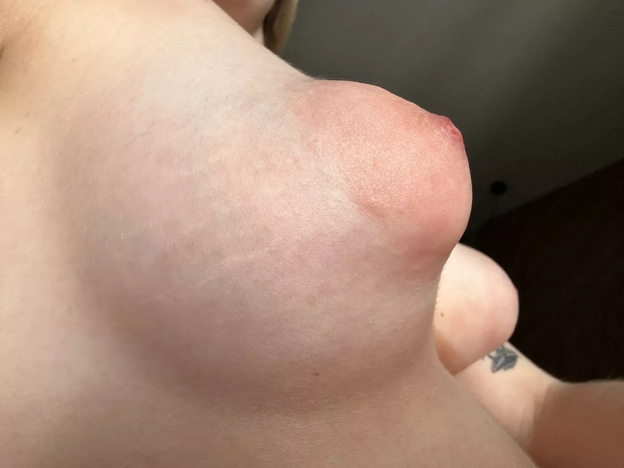 Are they puffy enough