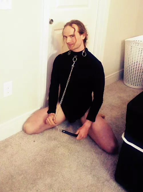 Collared, leashed, and waiting patiently to please