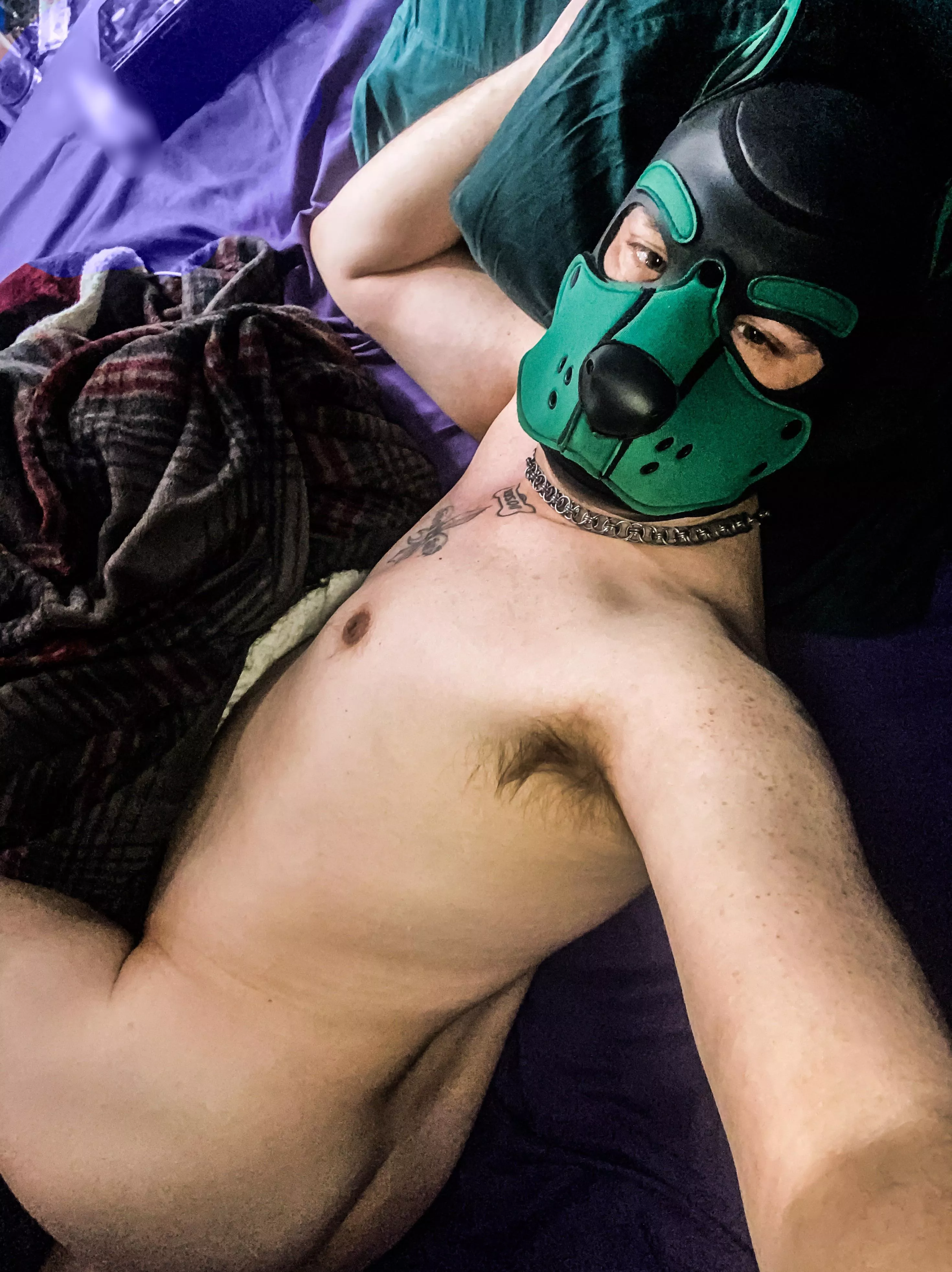 Good morning pups !!!-Anyone wanna come cuddle?