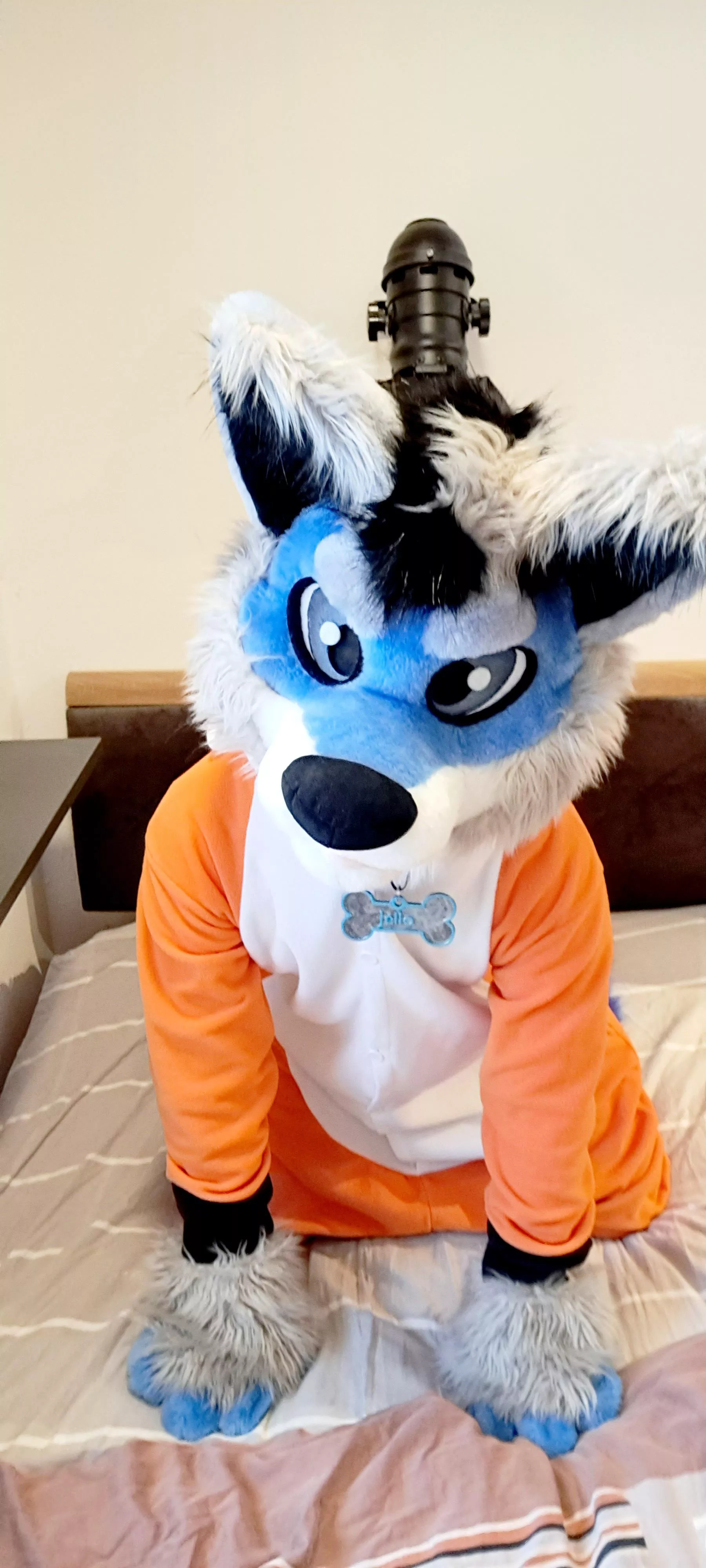 Happy Saturday! Up for some warm morning snugs? 💙