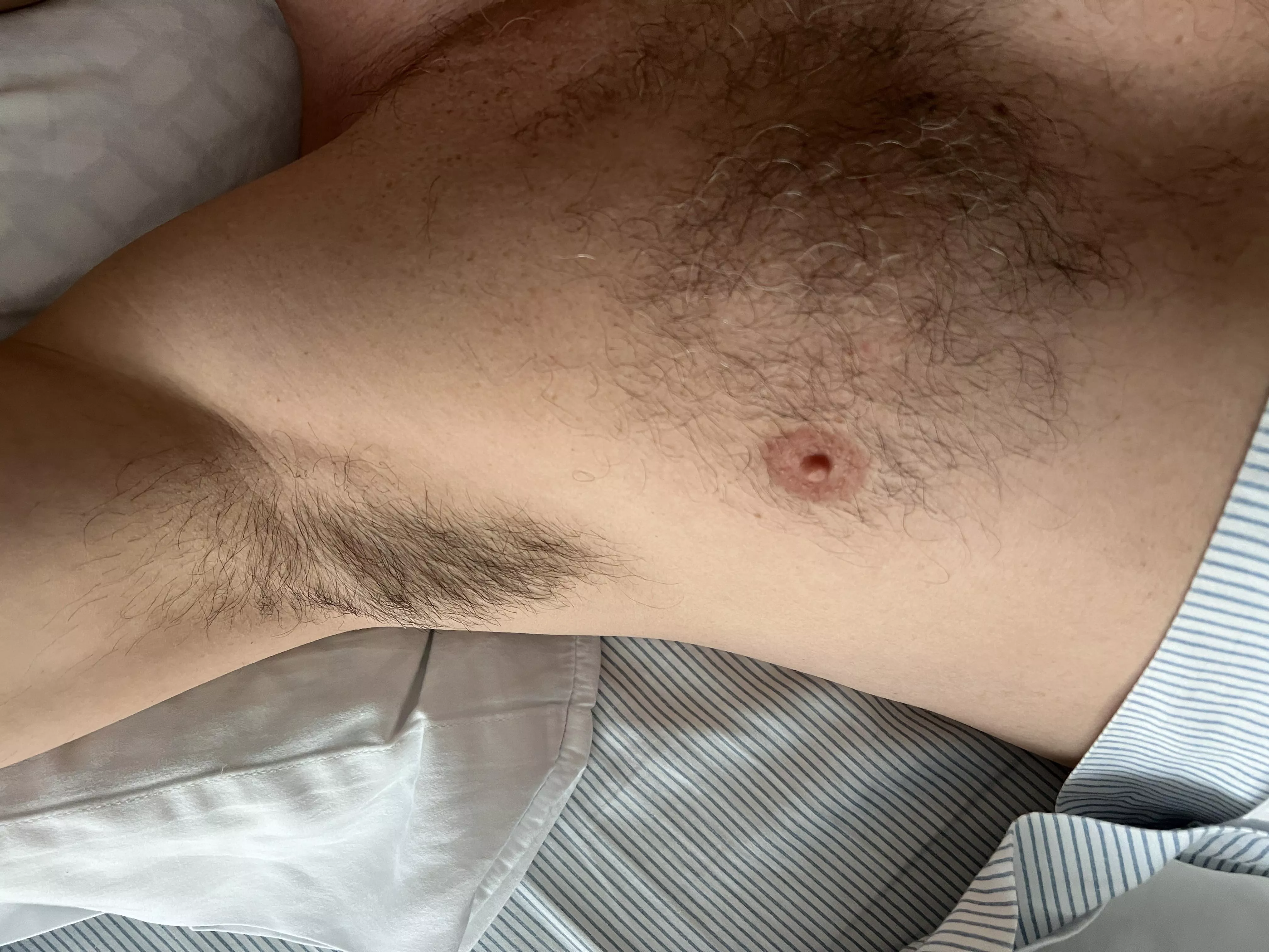 In the morning light