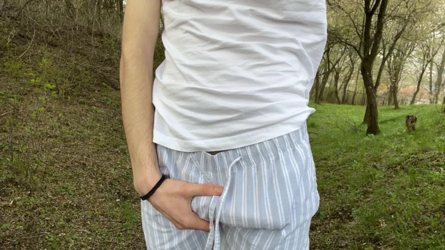 Morning 🪵 in the woods