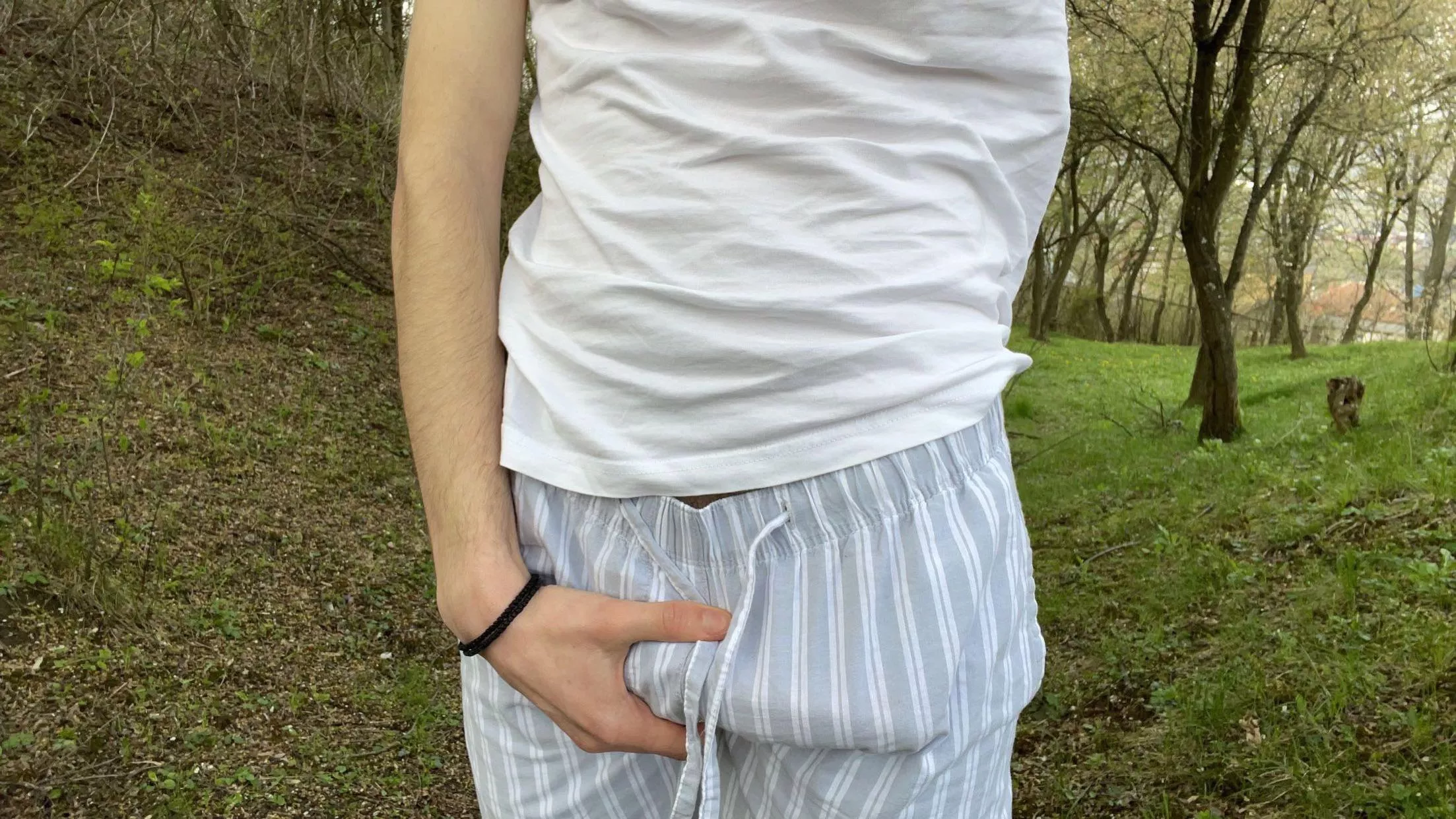 Morning 🪵 in the woods