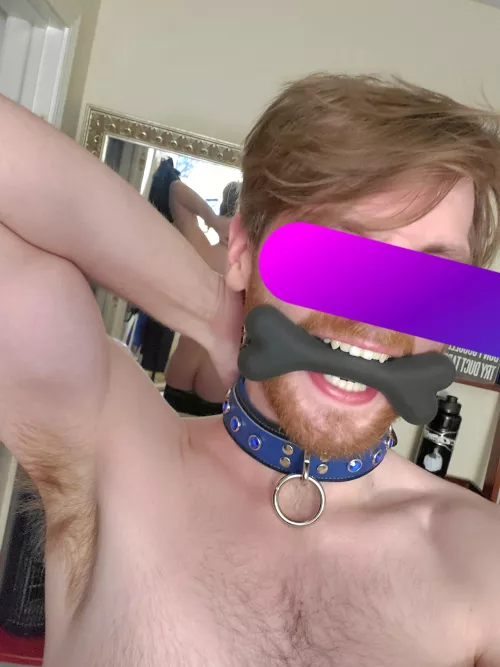 New chew toy, who dis?