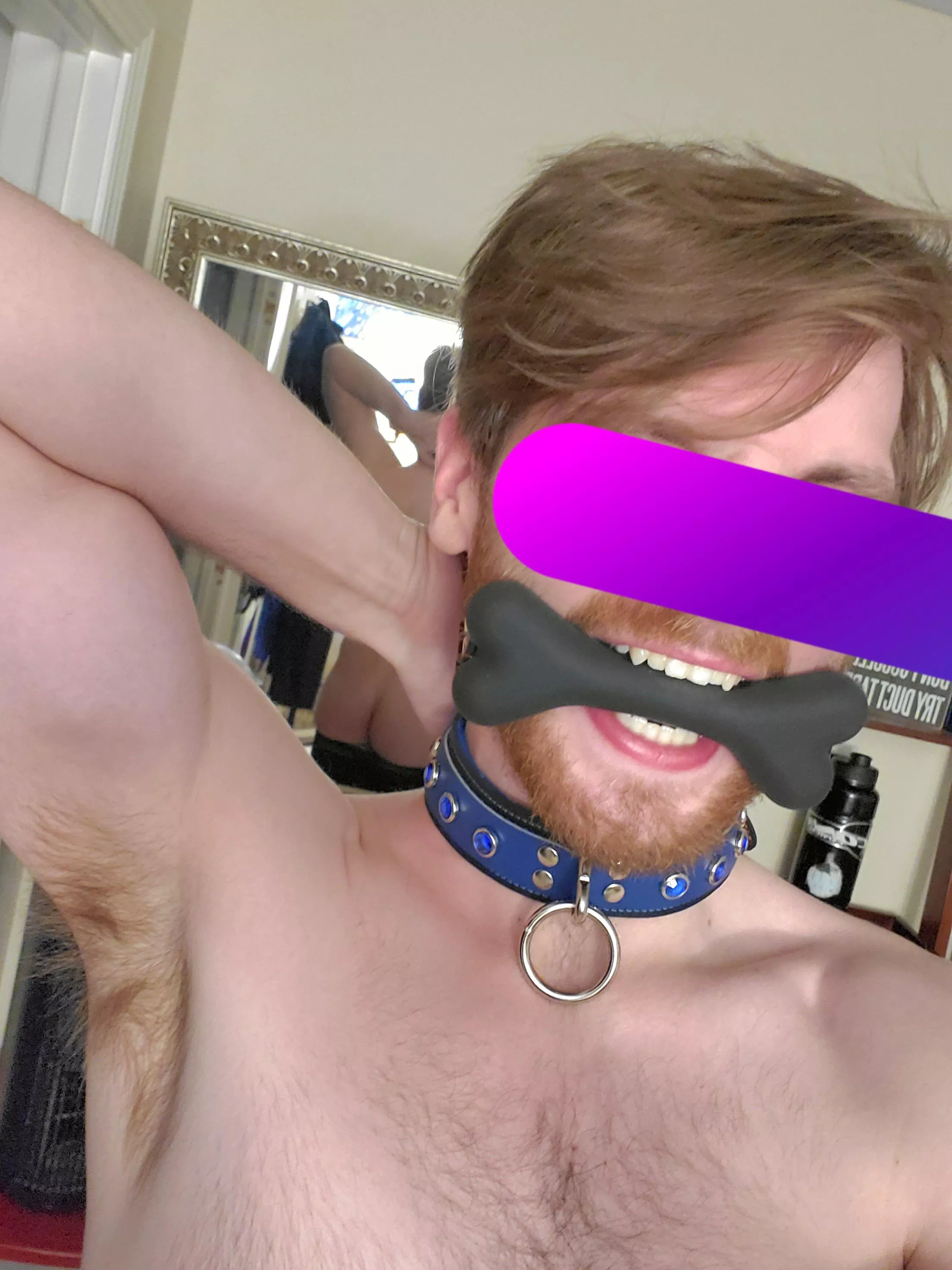 New chew toy, who dis?