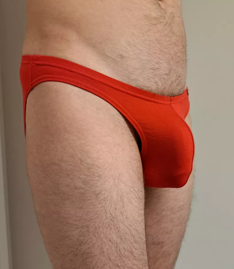 Red briefs bulge!