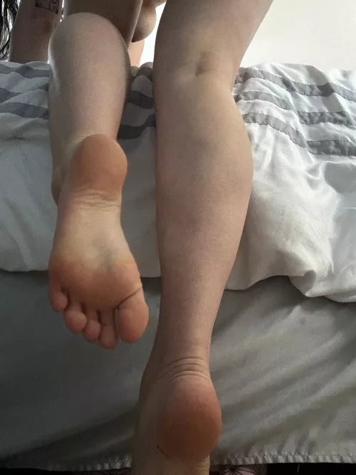 These need a little licking pleaseee [oc]