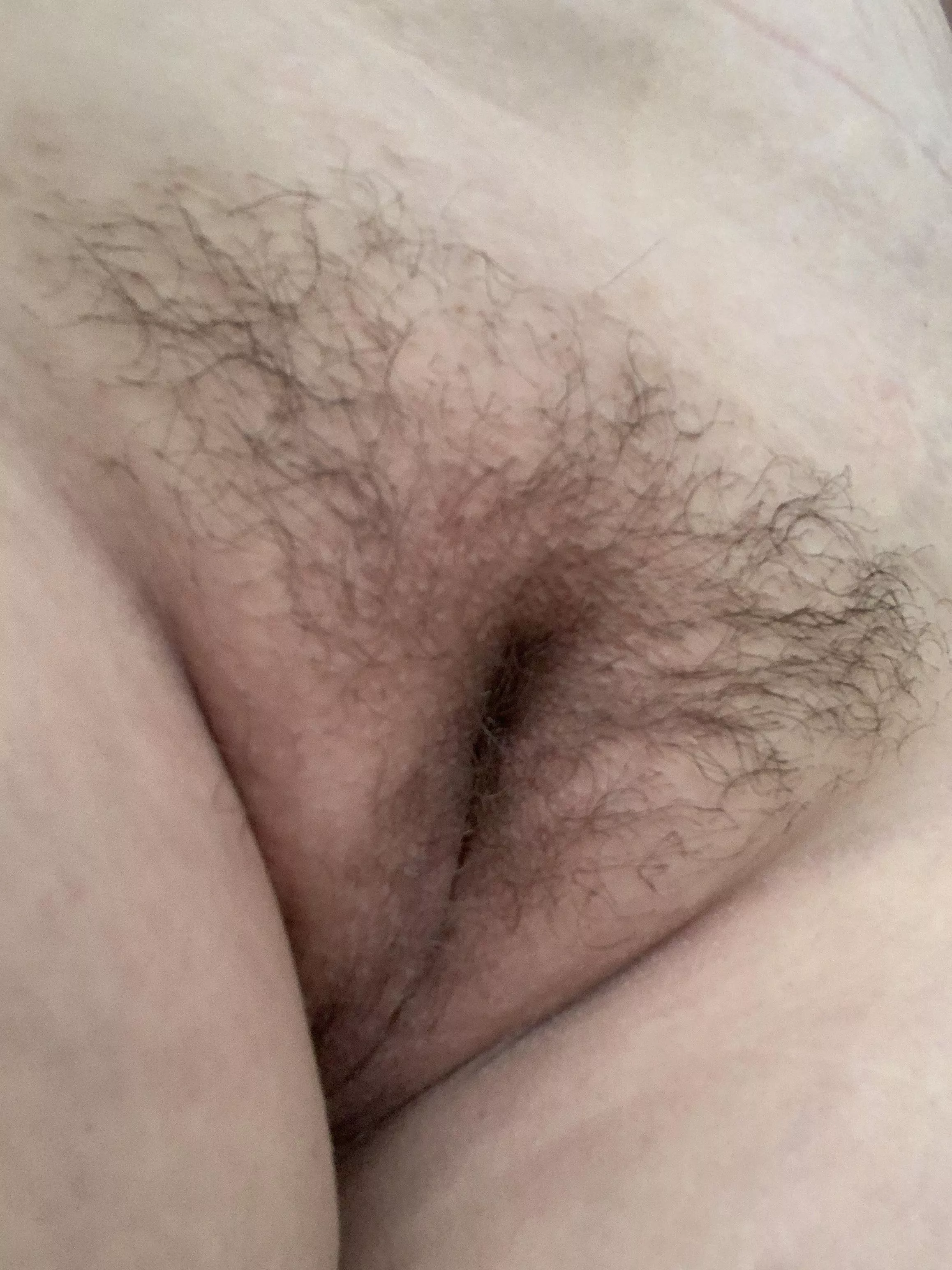 Who wants taste this bush