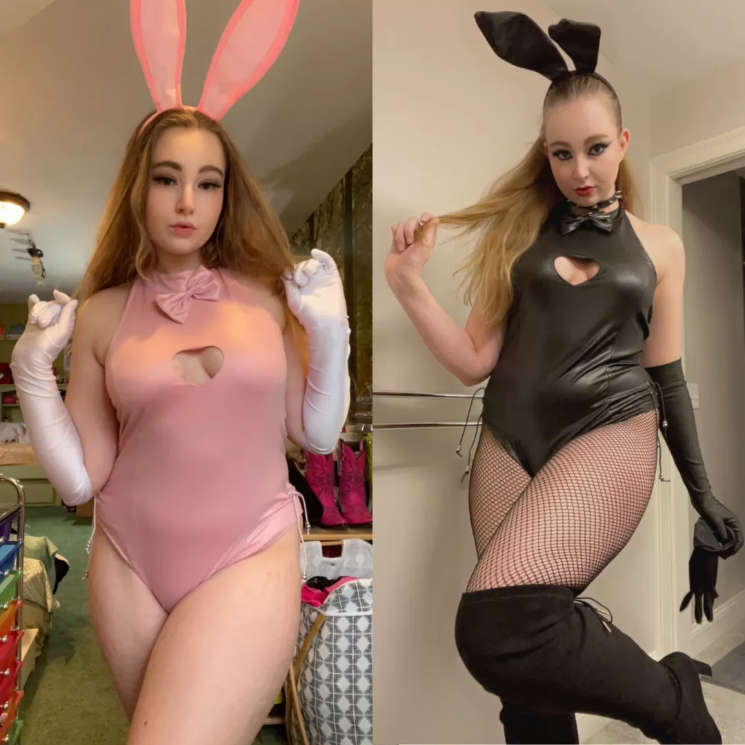 Would you rather adopt a pink-outfit bunnygirl, or a black-outfit bunnygirl?