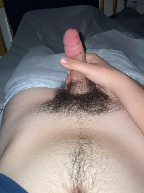 18m hairy bros add snap brady_wilso2001