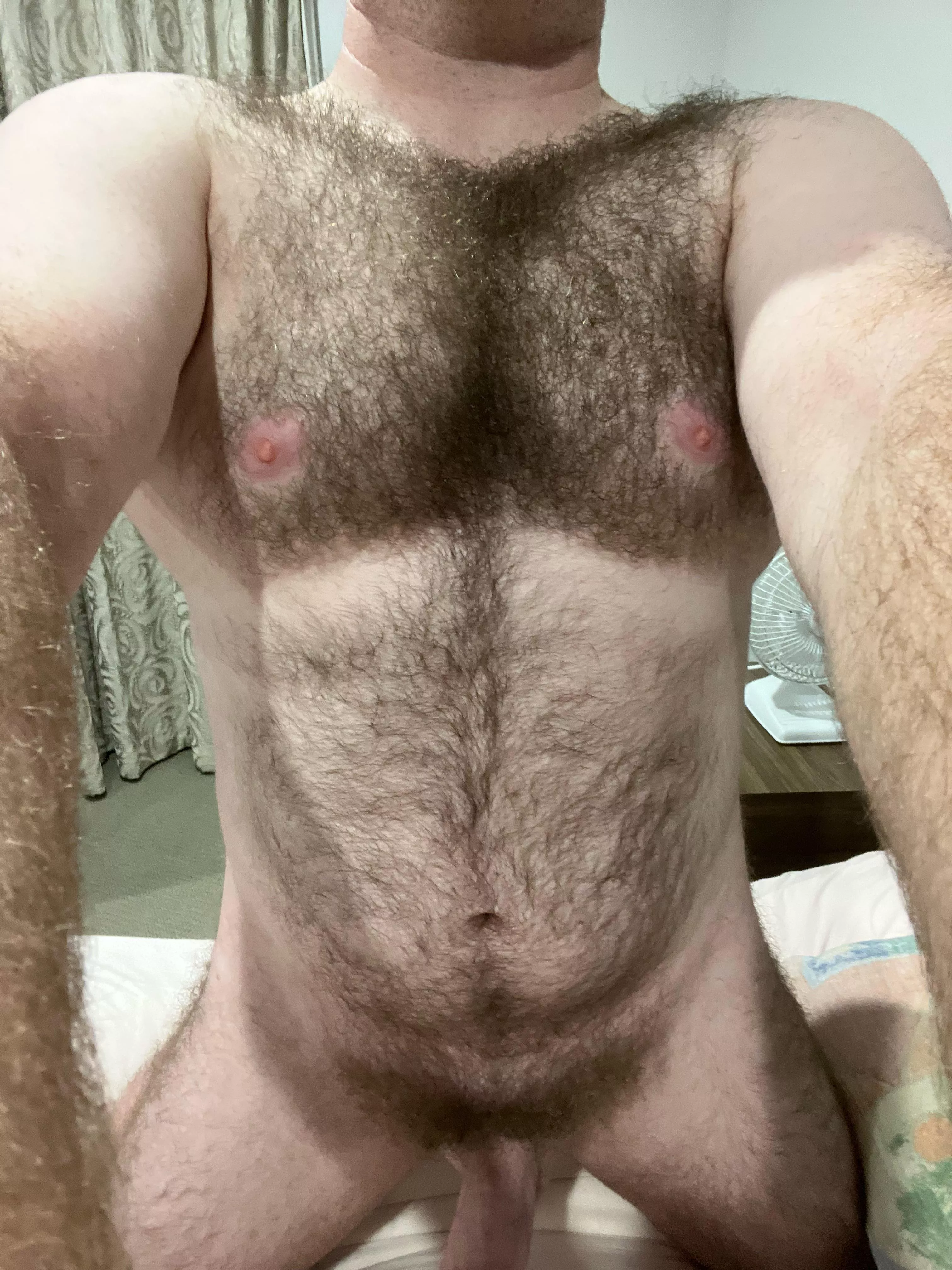 35 uncut hairy dm sc