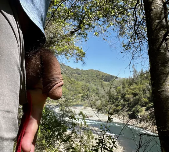 (57) A quick pic from the trail today.