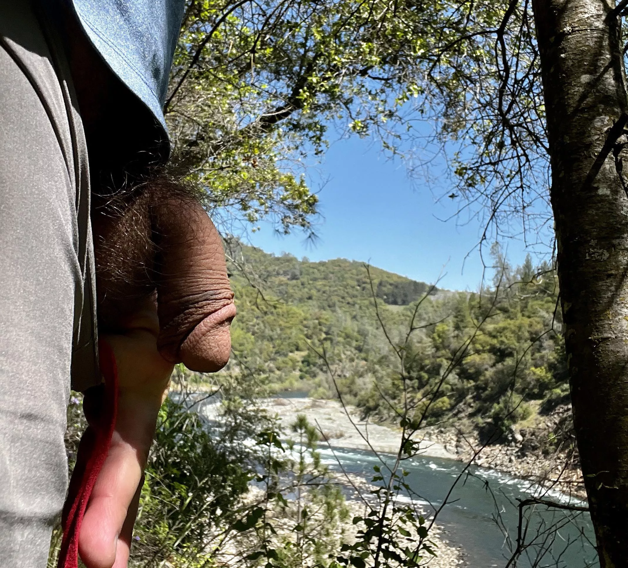 (57) A quick pic from the trail today.