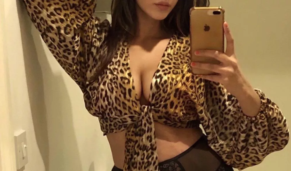 A lady on the streets, an animal under the sheets...