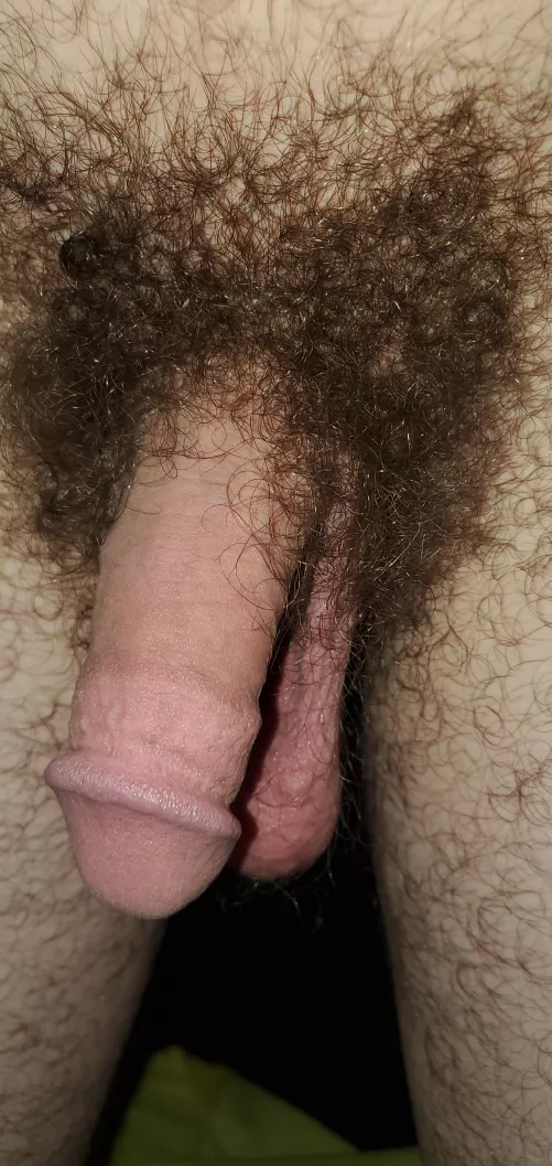 Bored and horny [36] Sometimes my messages don't work here, might have to send messages to my Kik. JaguarPaw420