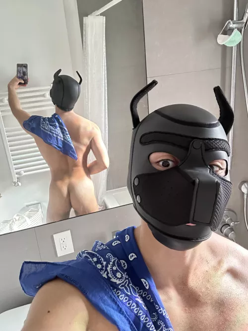 Can you tell me the colour of the bandana? 😆