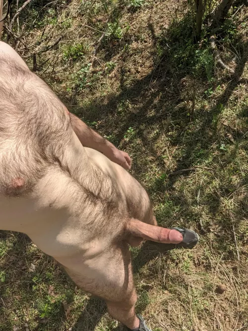 Cock out hiking earlier today (18)