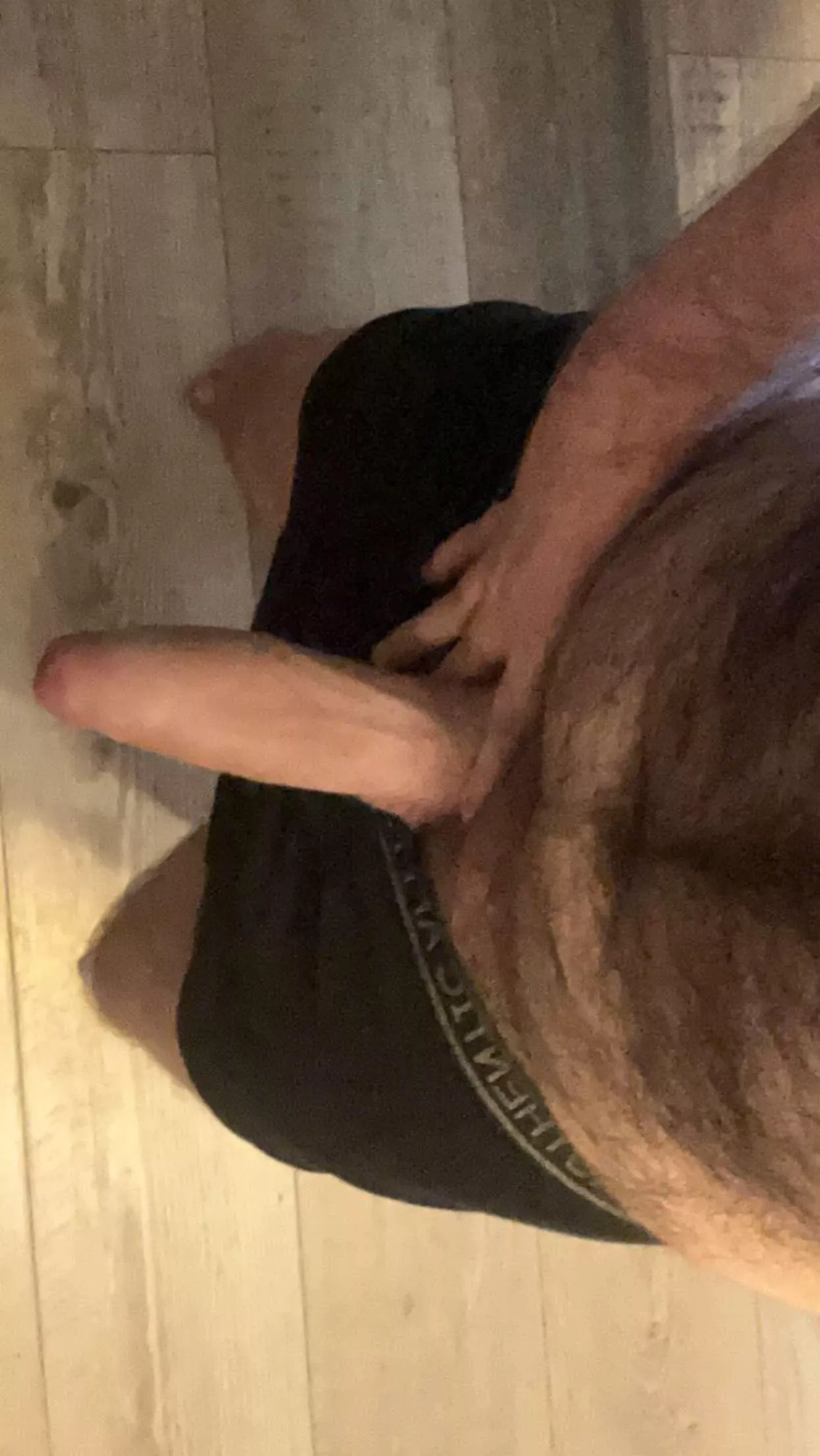 Daddy’s a bear up top, horse downstairs