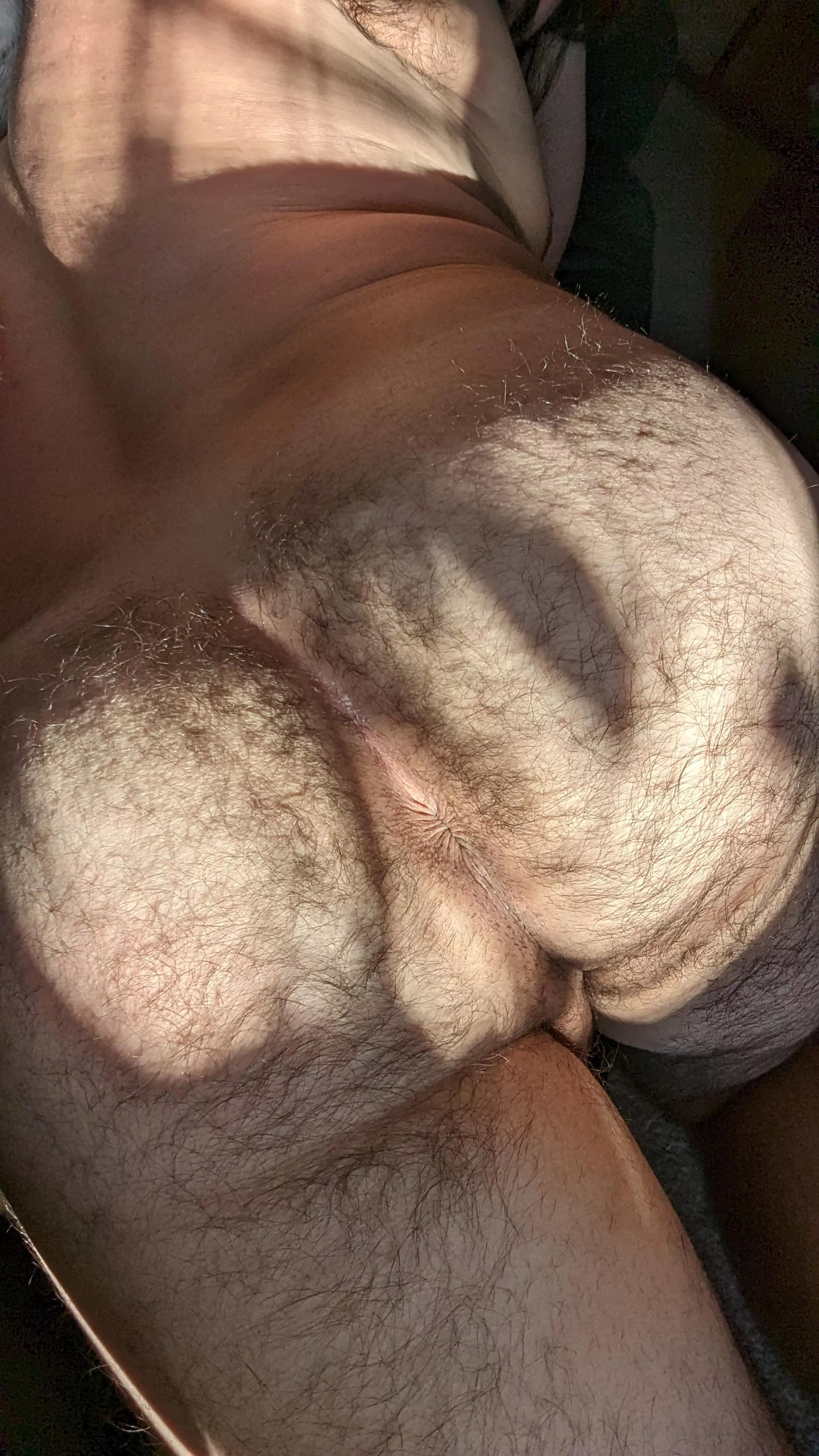 Early morning sunshine makes me all horny.