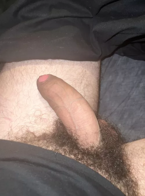 Have I got enough pubes for you (soft cock pic) 😏🍆Dms open😈