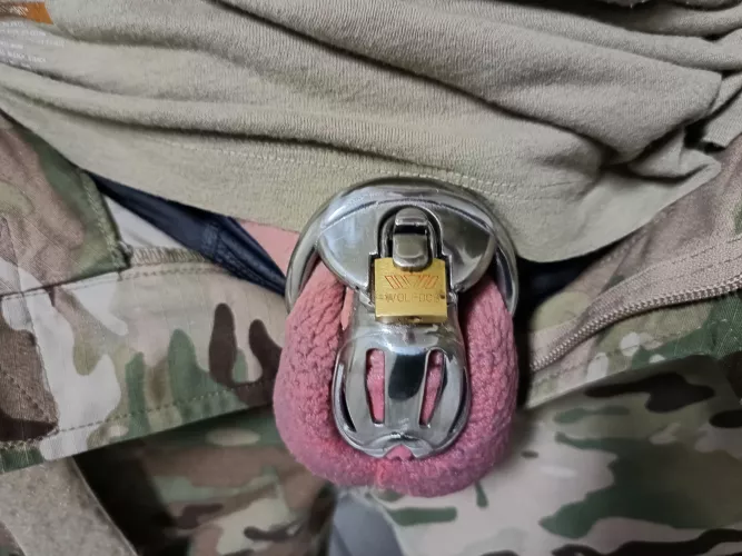 Hearing the dudes in my unit talk about all the pussy they slay and I haven't been inside my wife since Christmas. I bet my wife still gets more orgasms than you all, though!