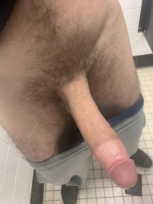 Horse cock here, dm me!