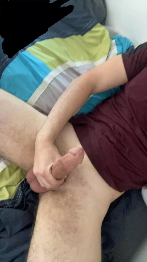 How big does it look?