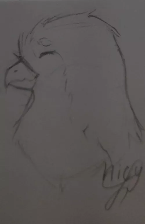 I'm trying to draw birds... what do you think?