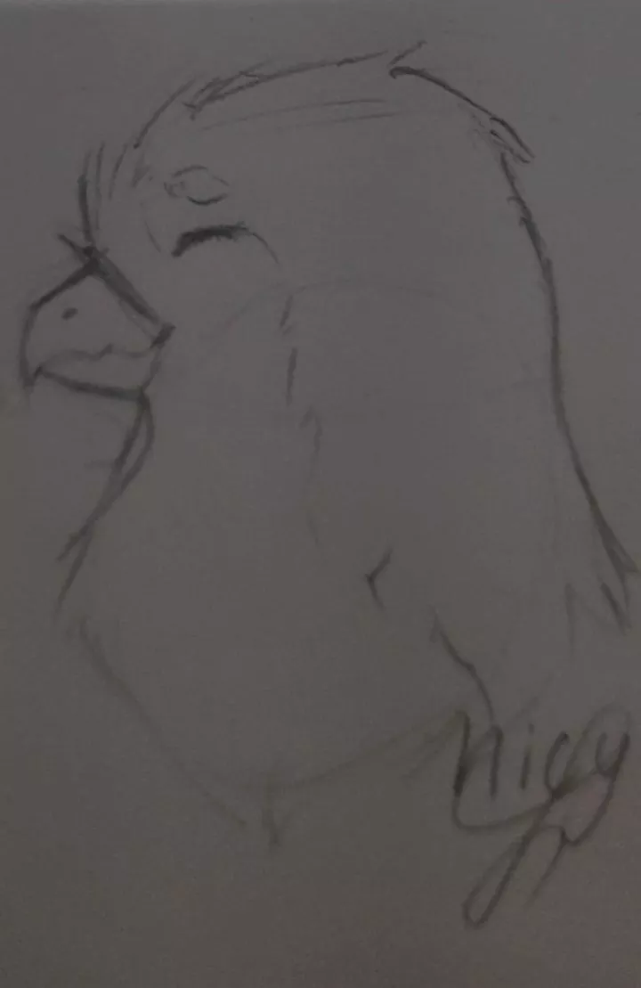 I'm trying to draw birds... what do you think?