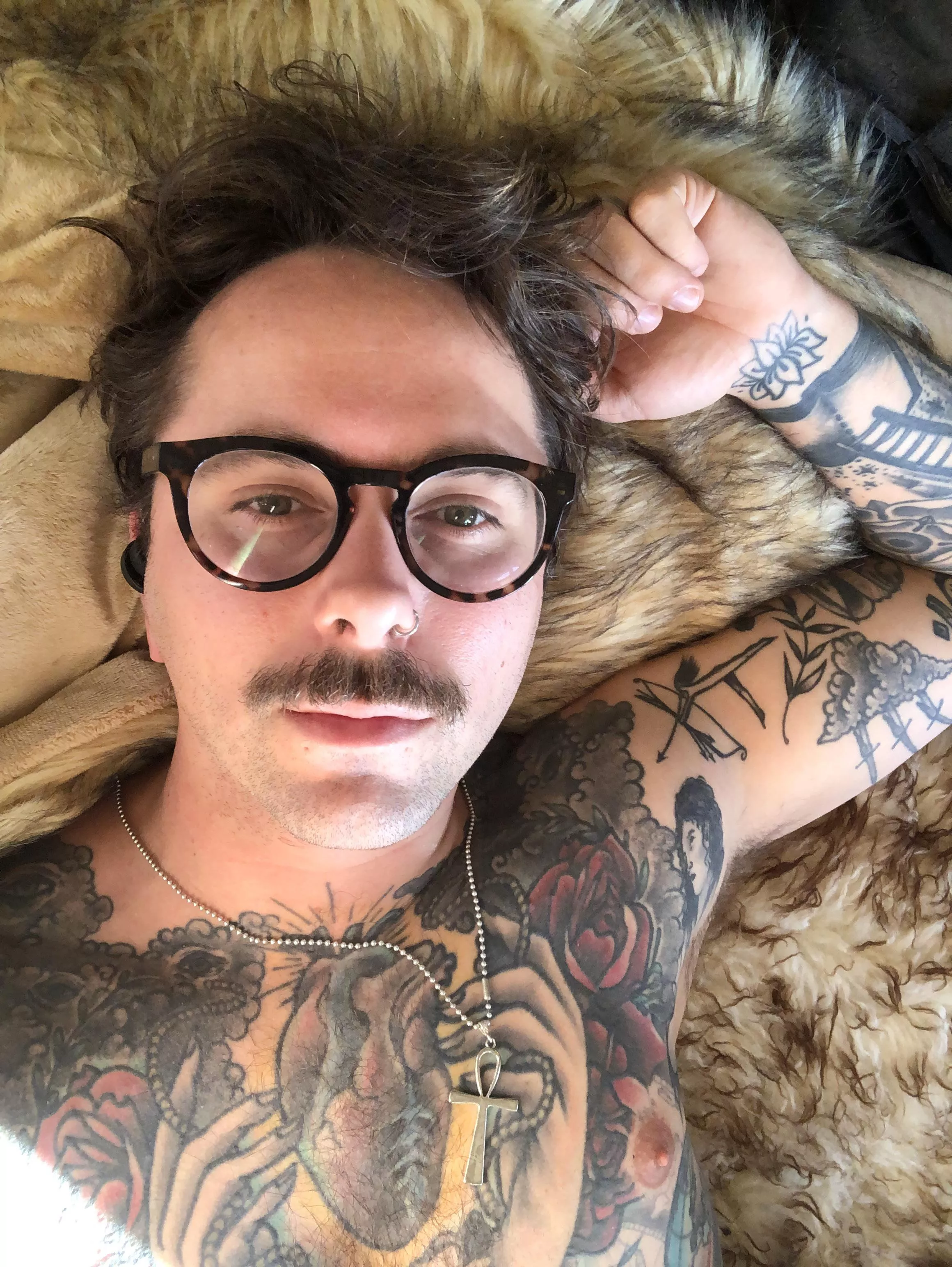 Looking shagged on a shag rug