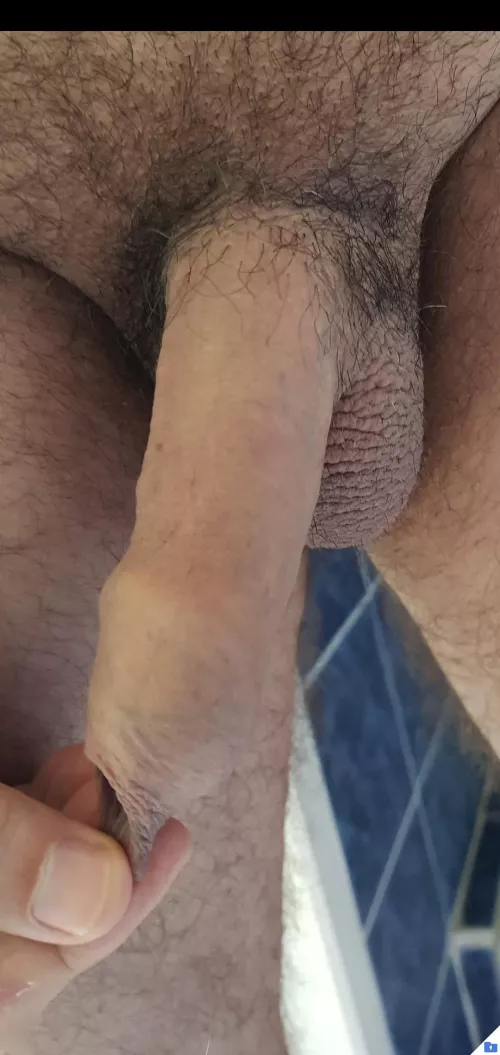 Old french dude...(62)