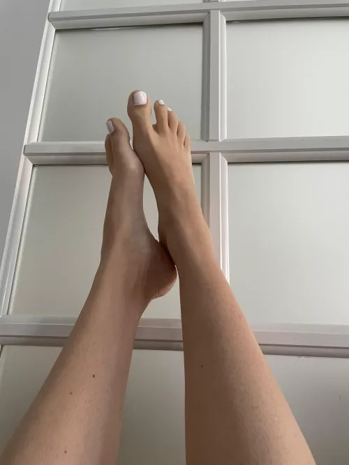 Perfect height for my feet in your face🦶