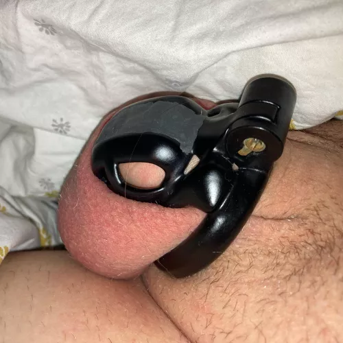 Pleas vote. Over a thousand days on my slate 😰🫣😭