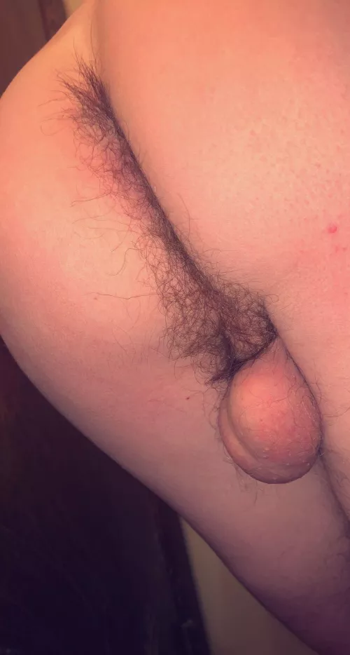 Still need a big hairy teddy bear to take care of me 🥺🥺