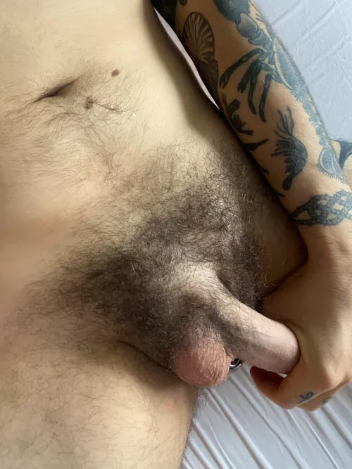 Stopped trimming a few years ago