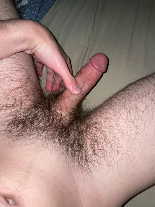 What do you guys think about my morning wood