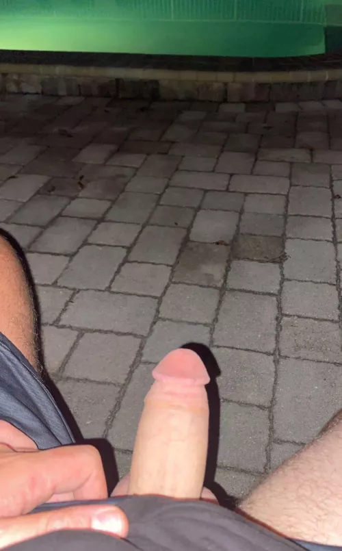Whipped my cock out at the pool