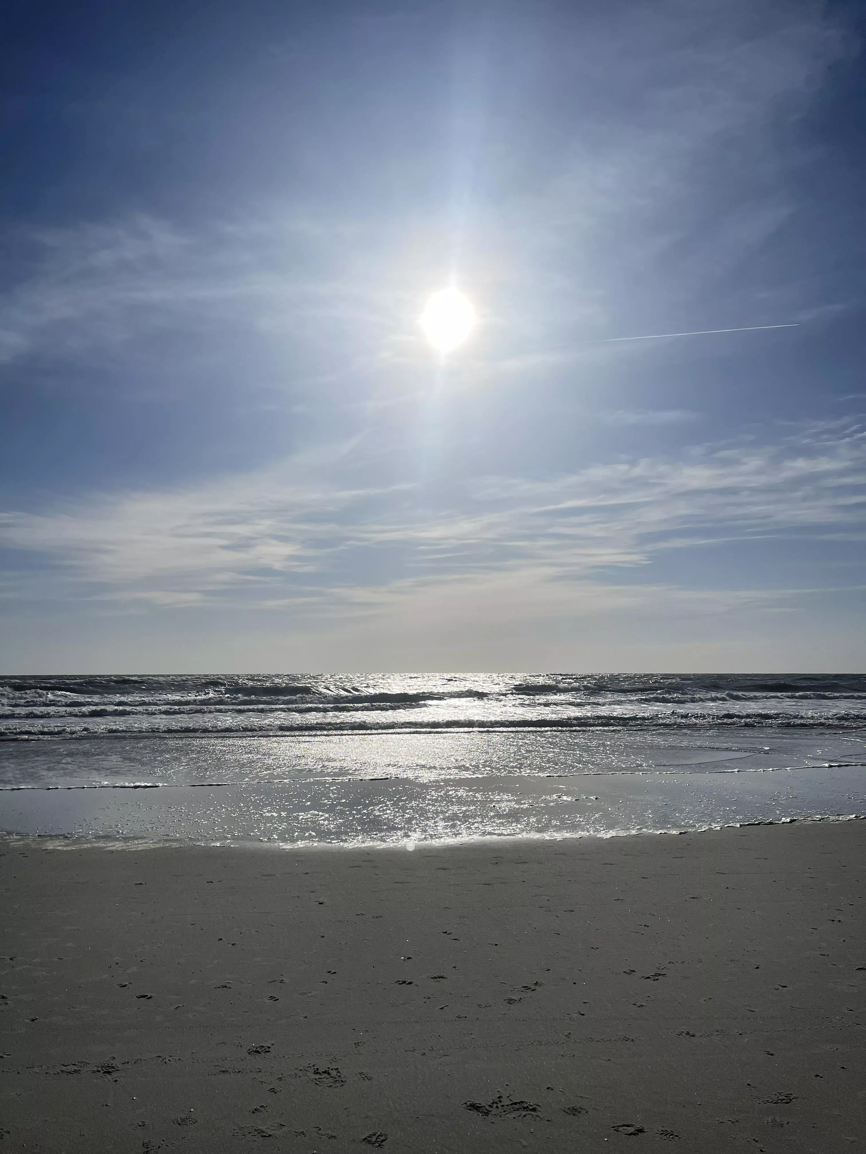 Windy yet beautiful walk this morning. Jax Beach, FL