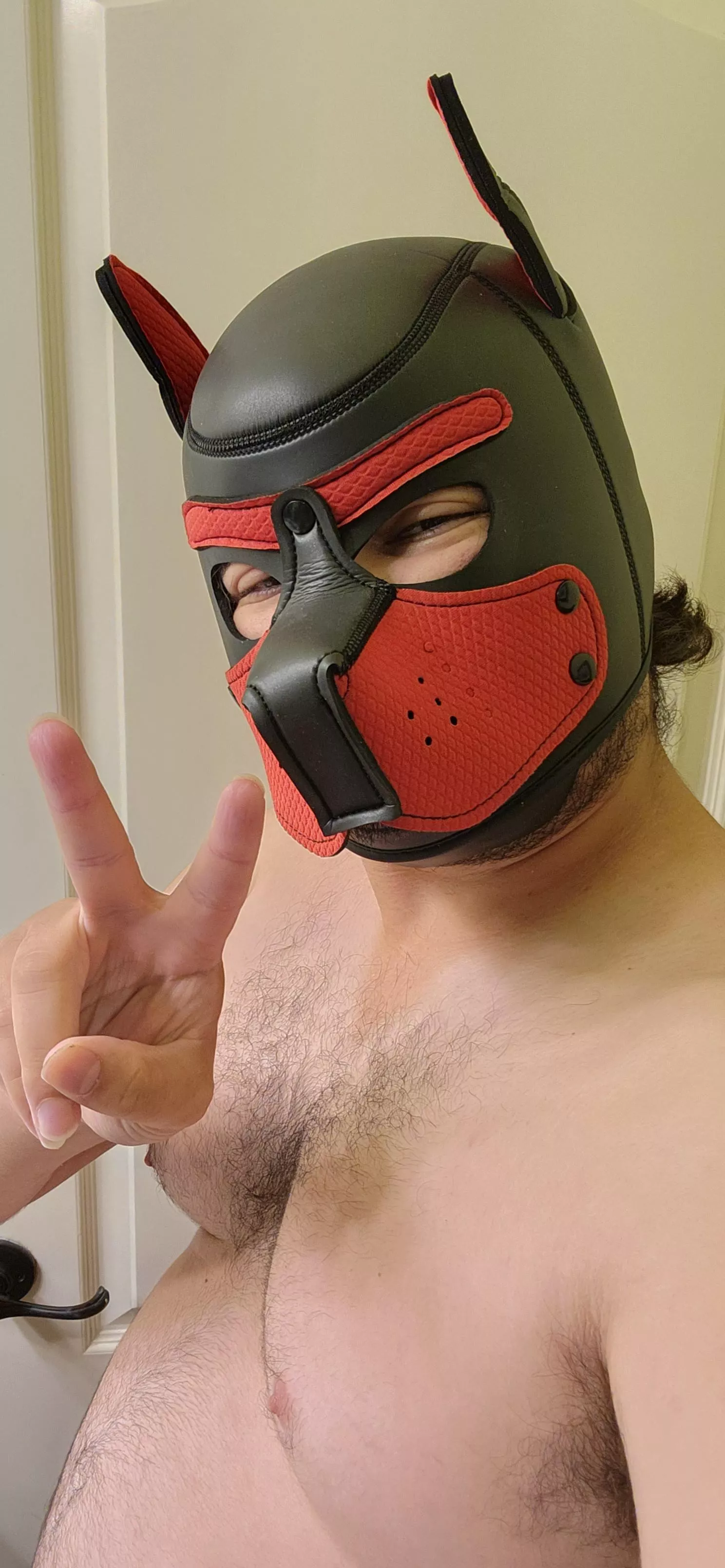 Woof! Just got a brand new hood and totally loving it!