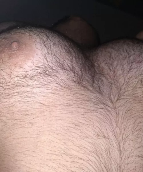 (19m) anyone into pecs?