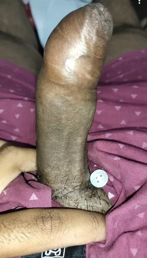 20 m indian top sc : hnaru1052