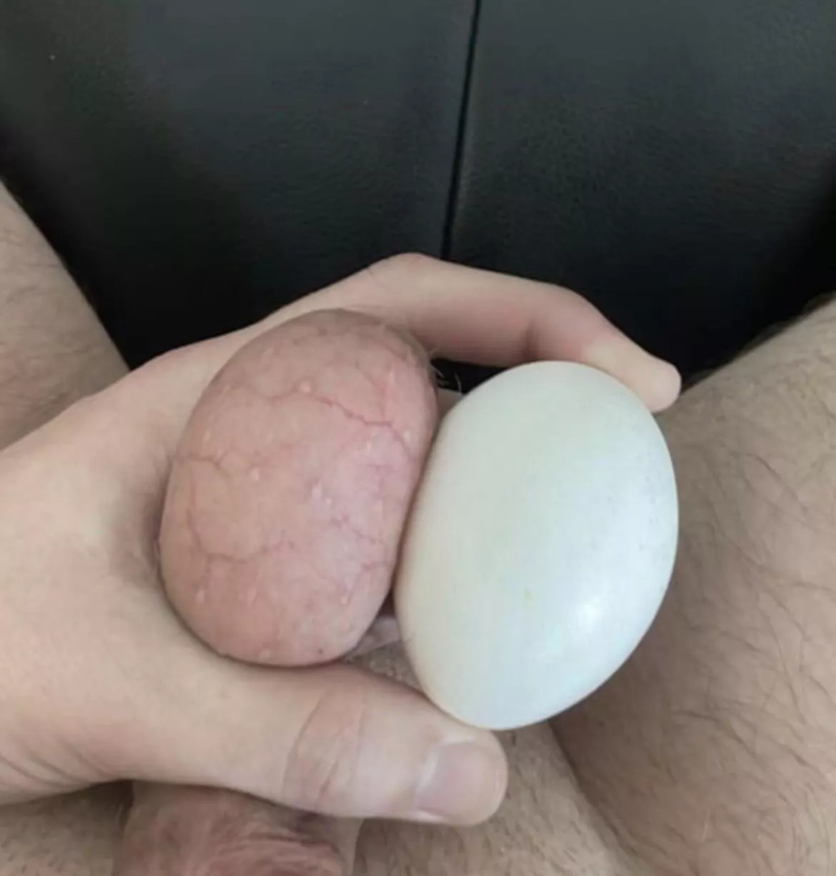 Comparison. Ball vs Egg