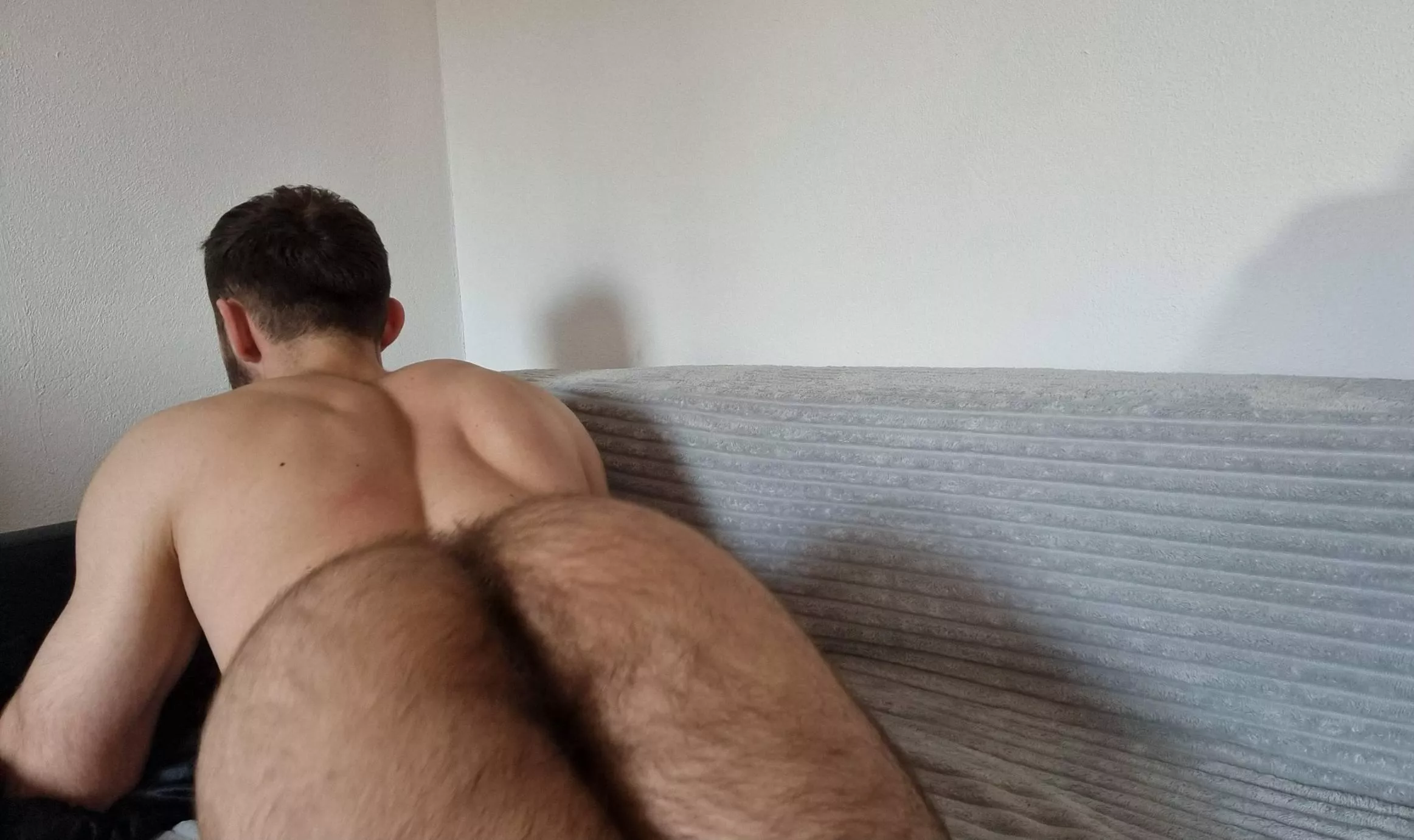 do you like my hairy ass?