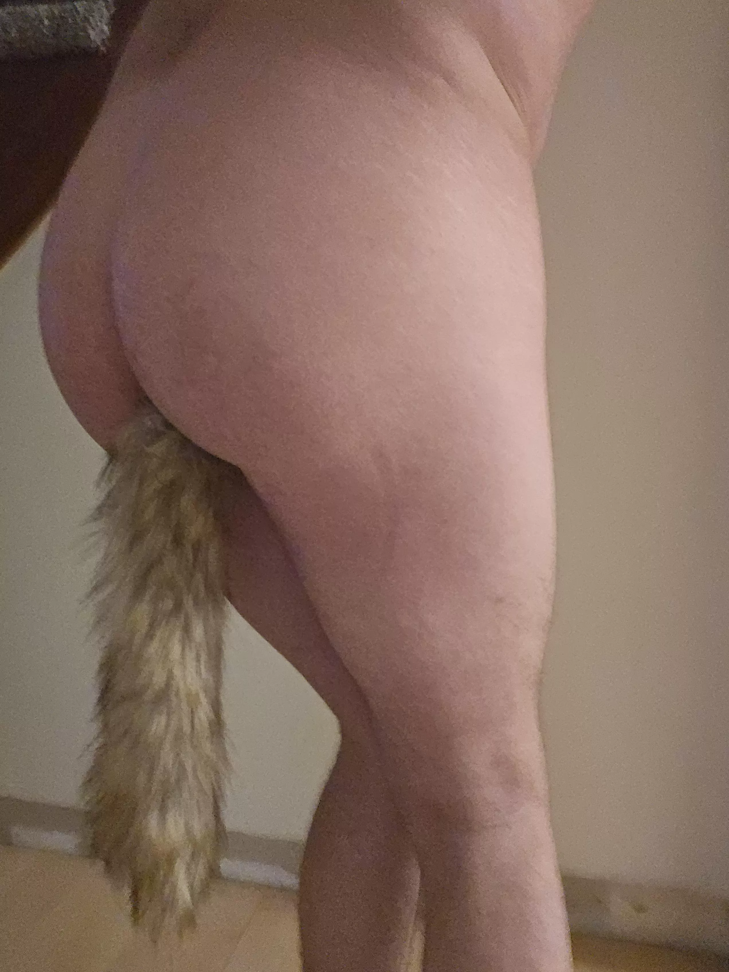 First time tail poster