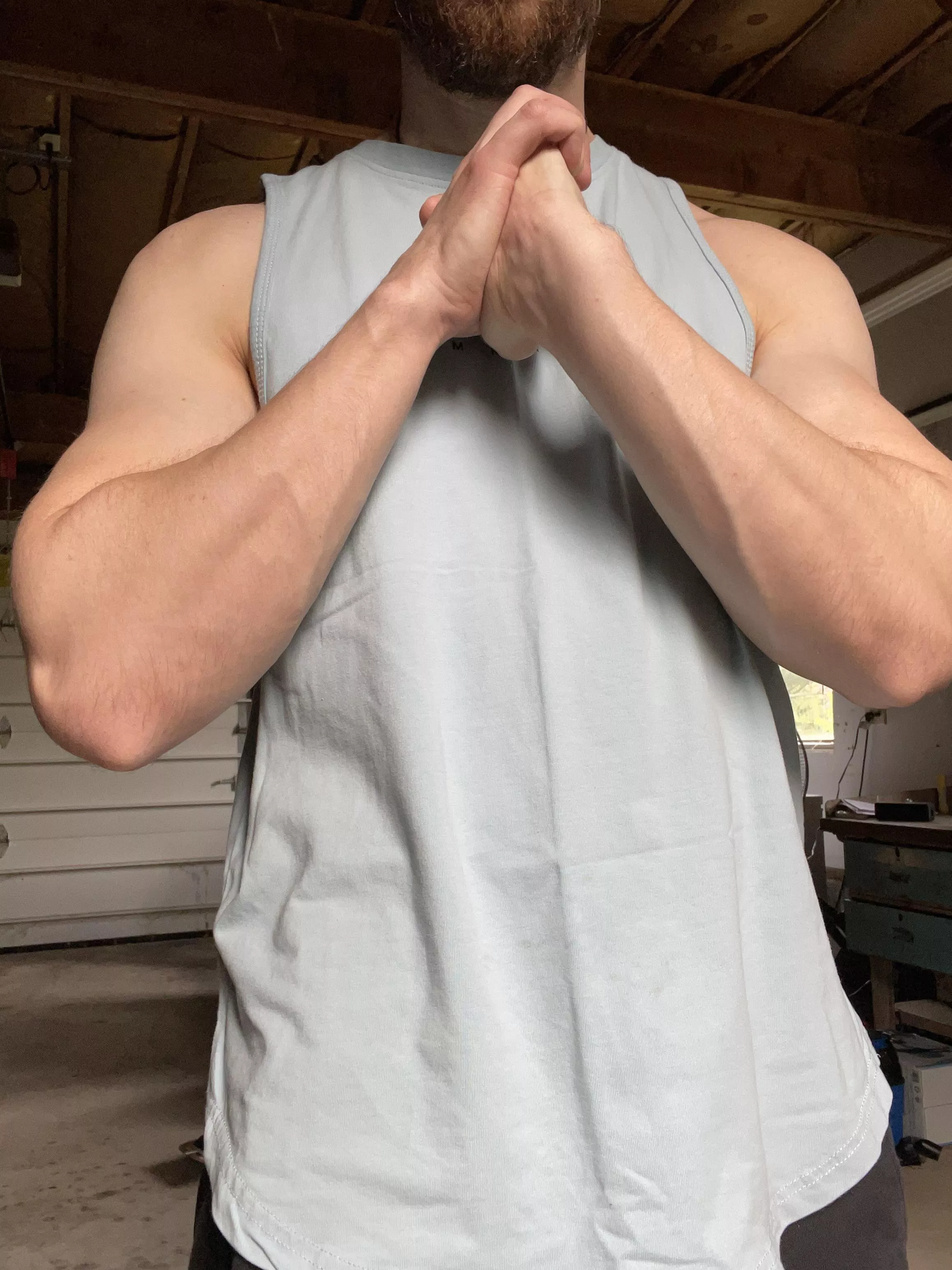 Forearms? I only have two but I think they look good