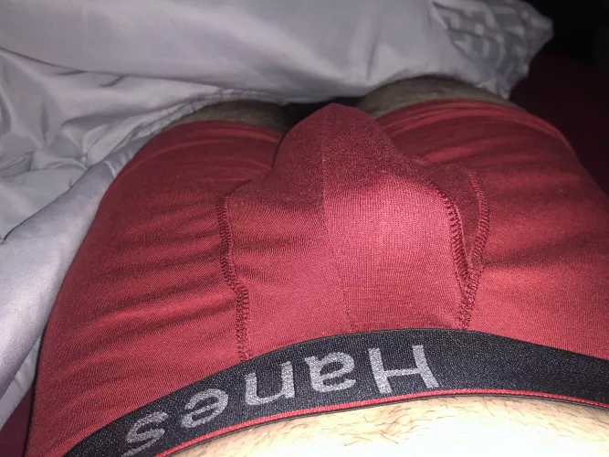Getting hard waking up this morning